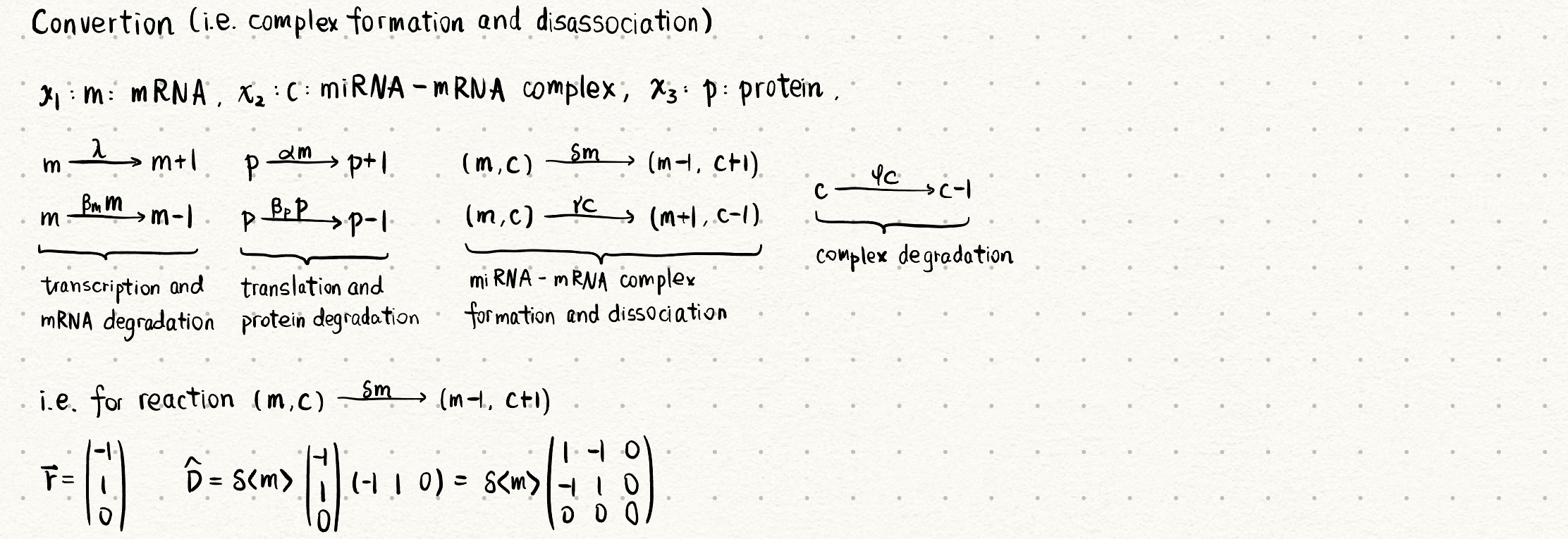 Network_Jump_Complex